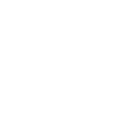 Logo Pro Space