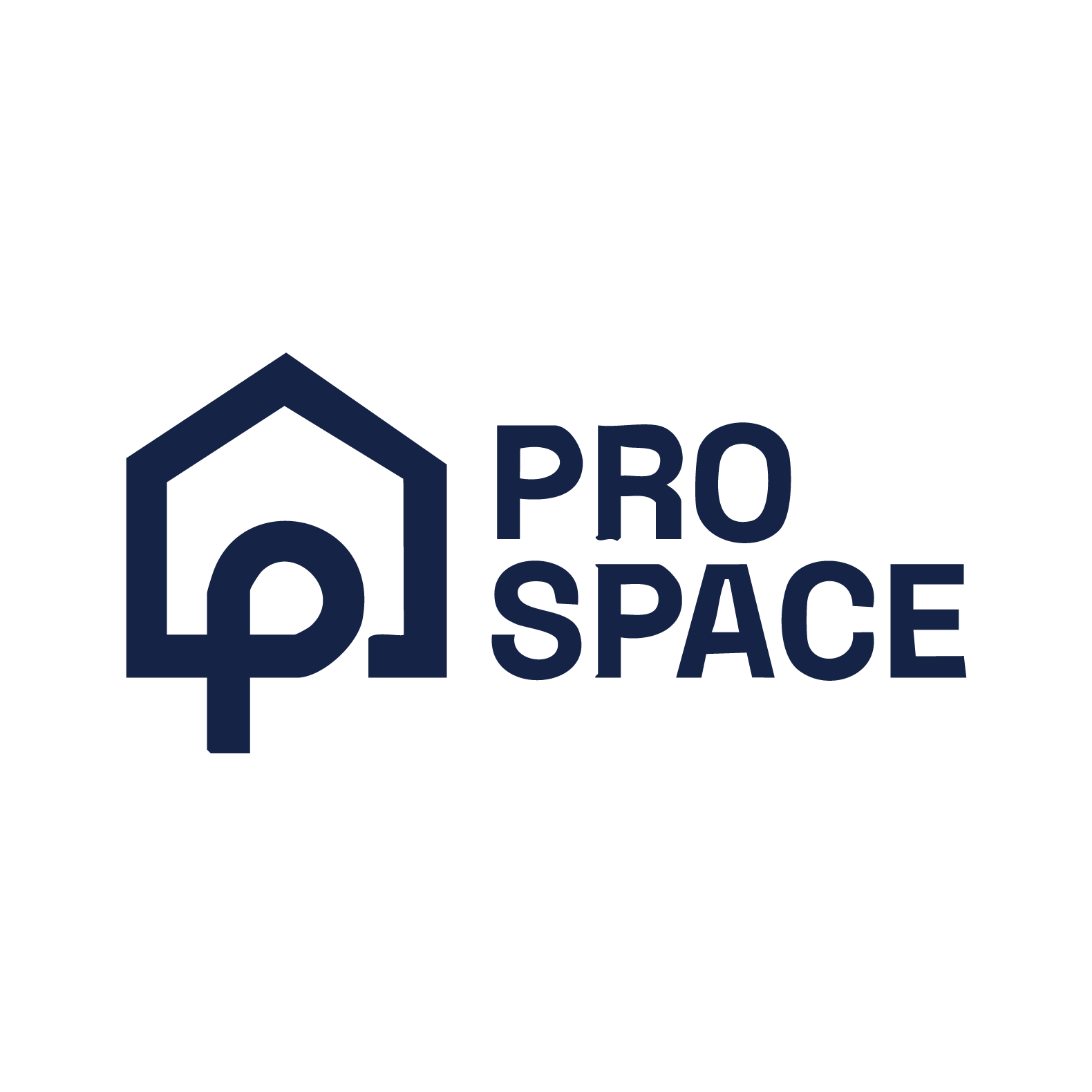 Logo Pro Space